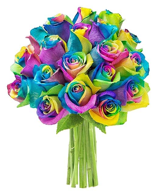 Rainbow Rose
