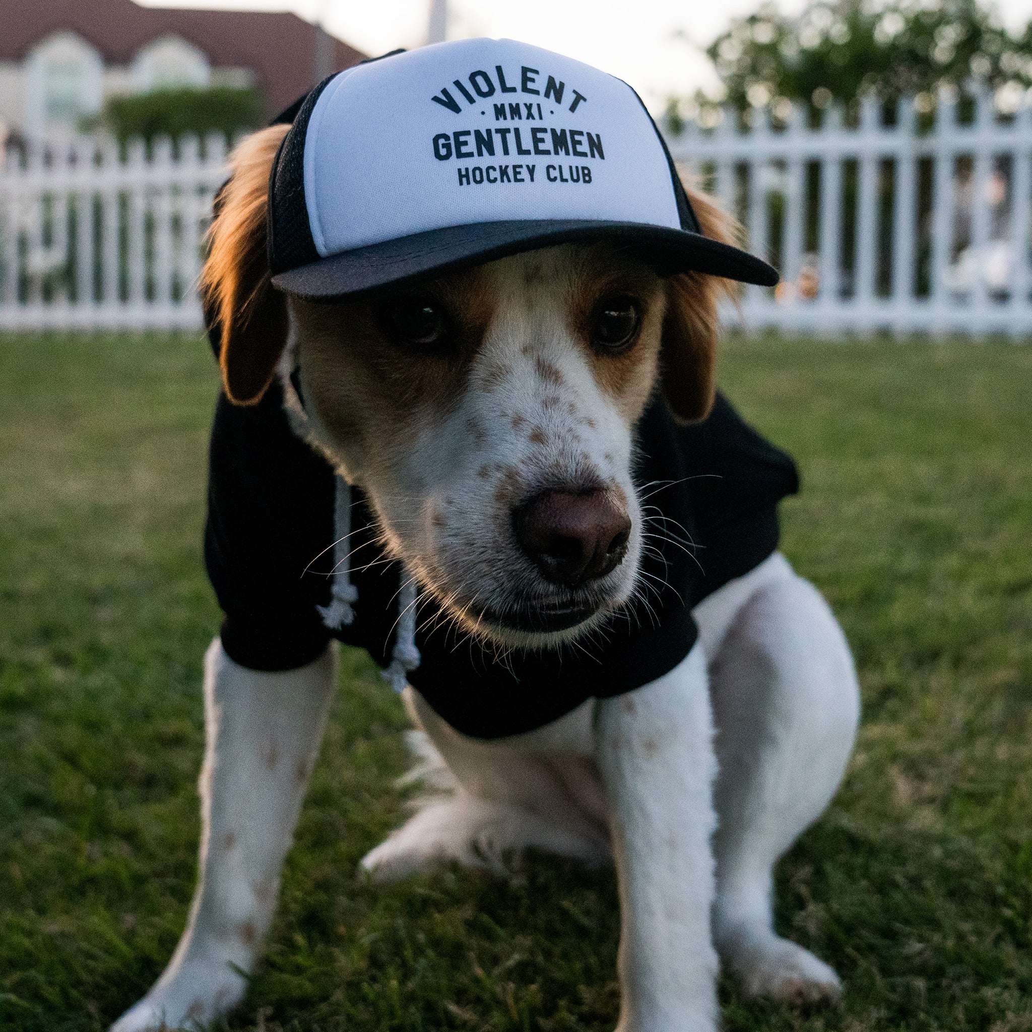 Loyalty Pet Foam Trucker Hat - Adjustable Baseball Cap for Dogs - Comfortable & Breathable Dog Hat for Outdoor Adventures, Hiking, and Photo Shoots