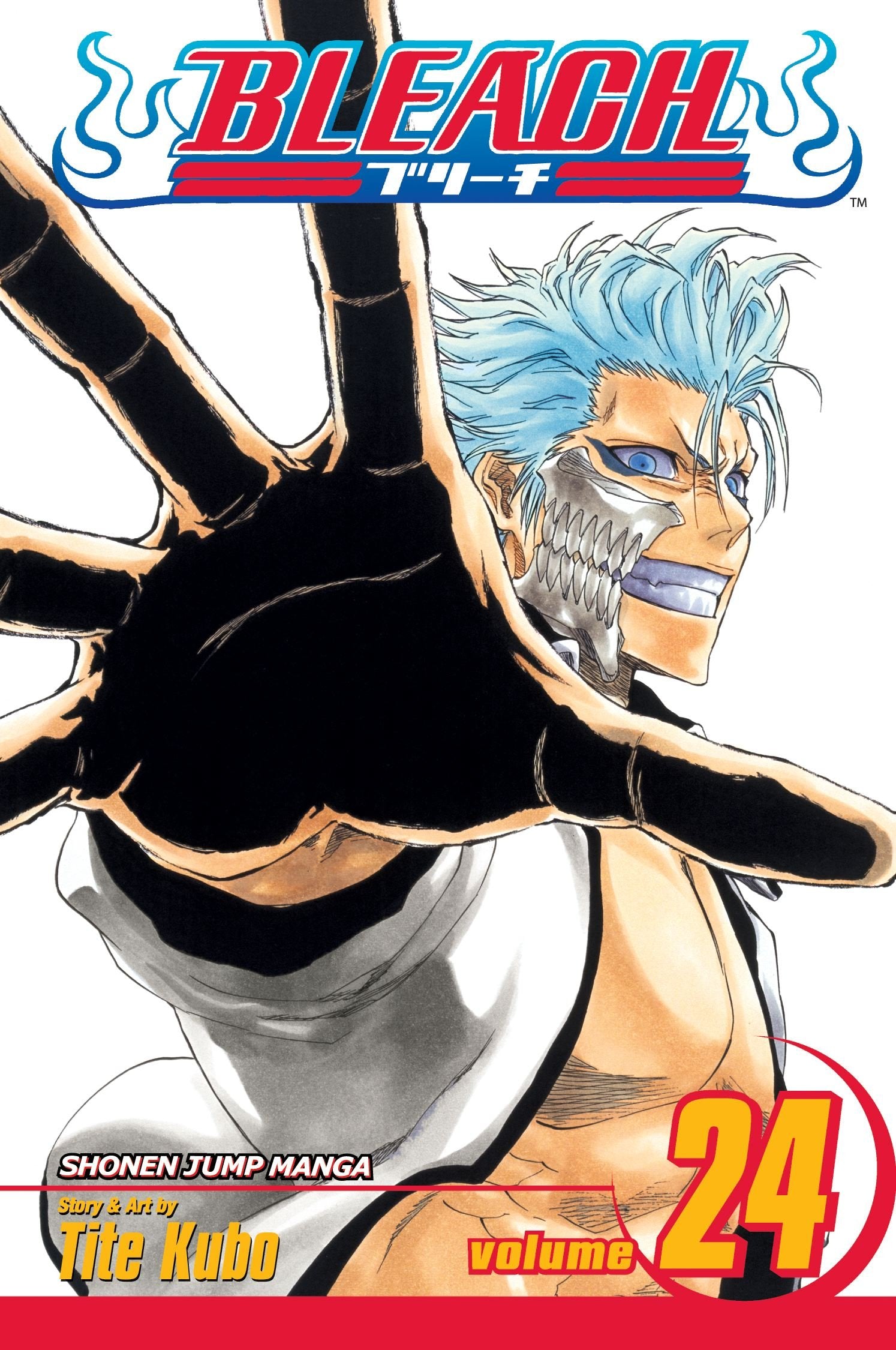 Bleach Vol. 24 Immanent God Blues Anime DVD - Action-Packed Shonen Series for Anime Collectors & Fans