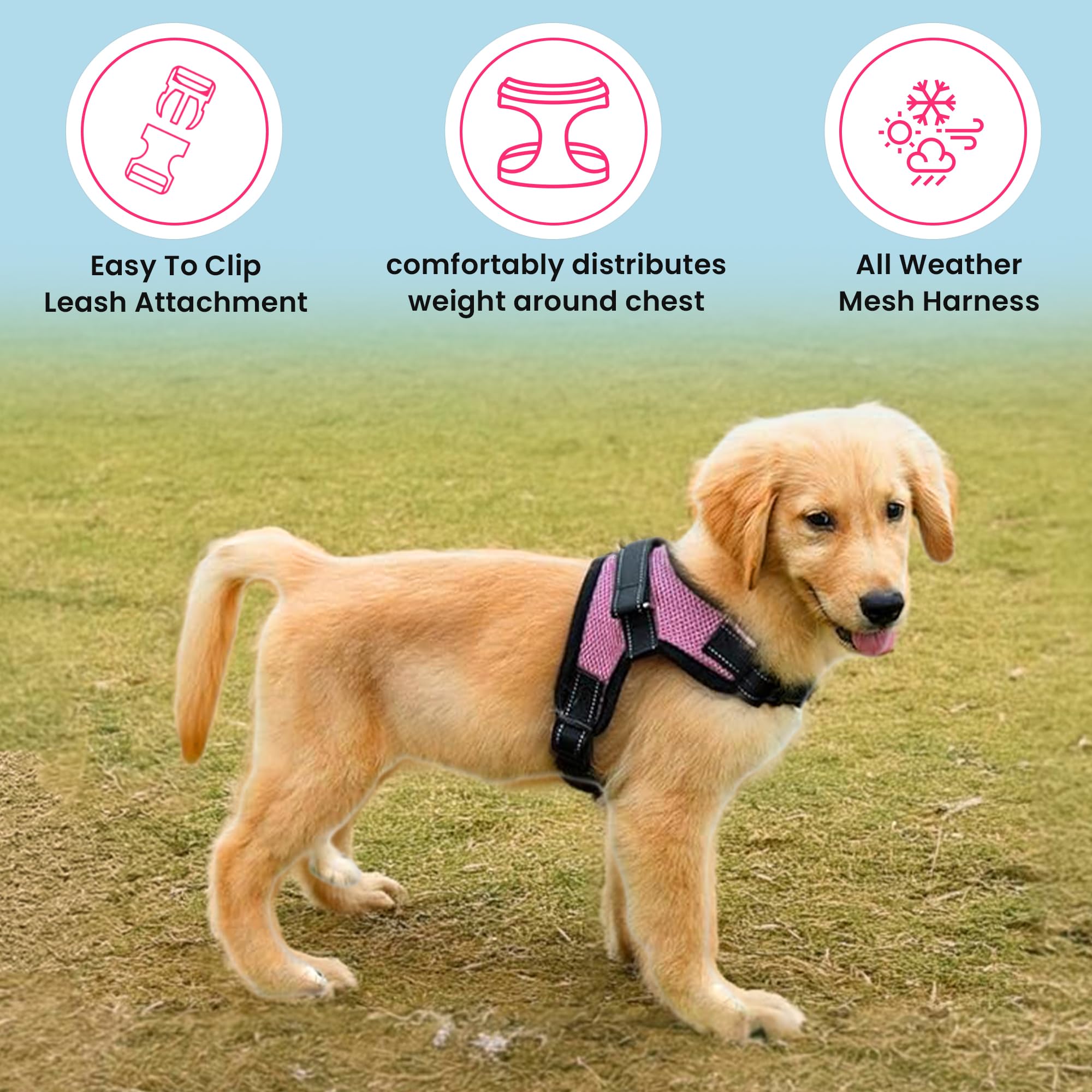 No Pull Reflective Adjustable Dog Harness with Handle - Soft Breathable Mesh for Small Medium Large Dogs | All-Weather Comfort | Perfect for Walking, Running & Night Safety (Pink, XX-Small)