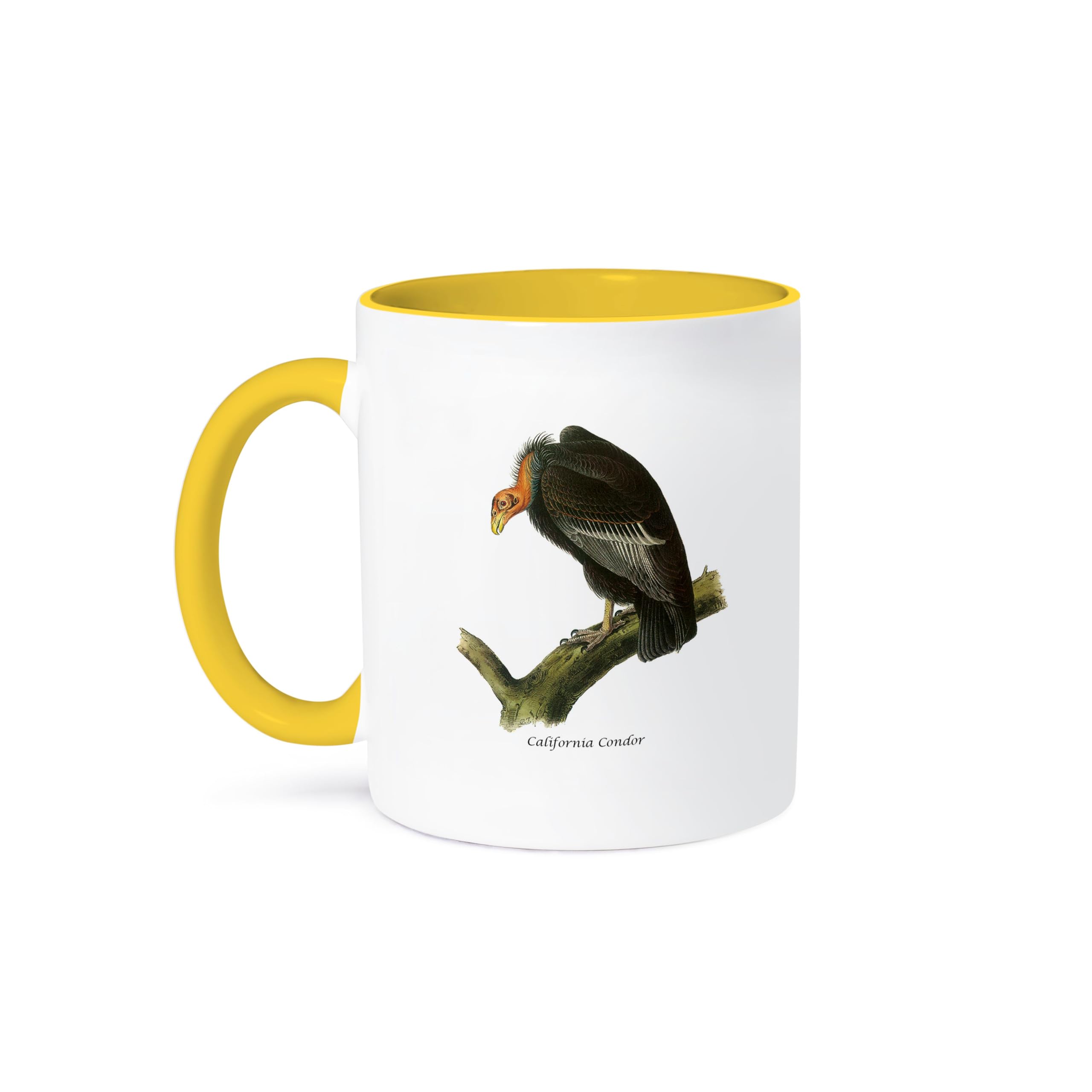 3D Rose 11oz California Condor Coffee Mug by John James Audubon - Funny Novelty Gift for Bird Lovers - Perfect for Home, Office & Outdoor Use