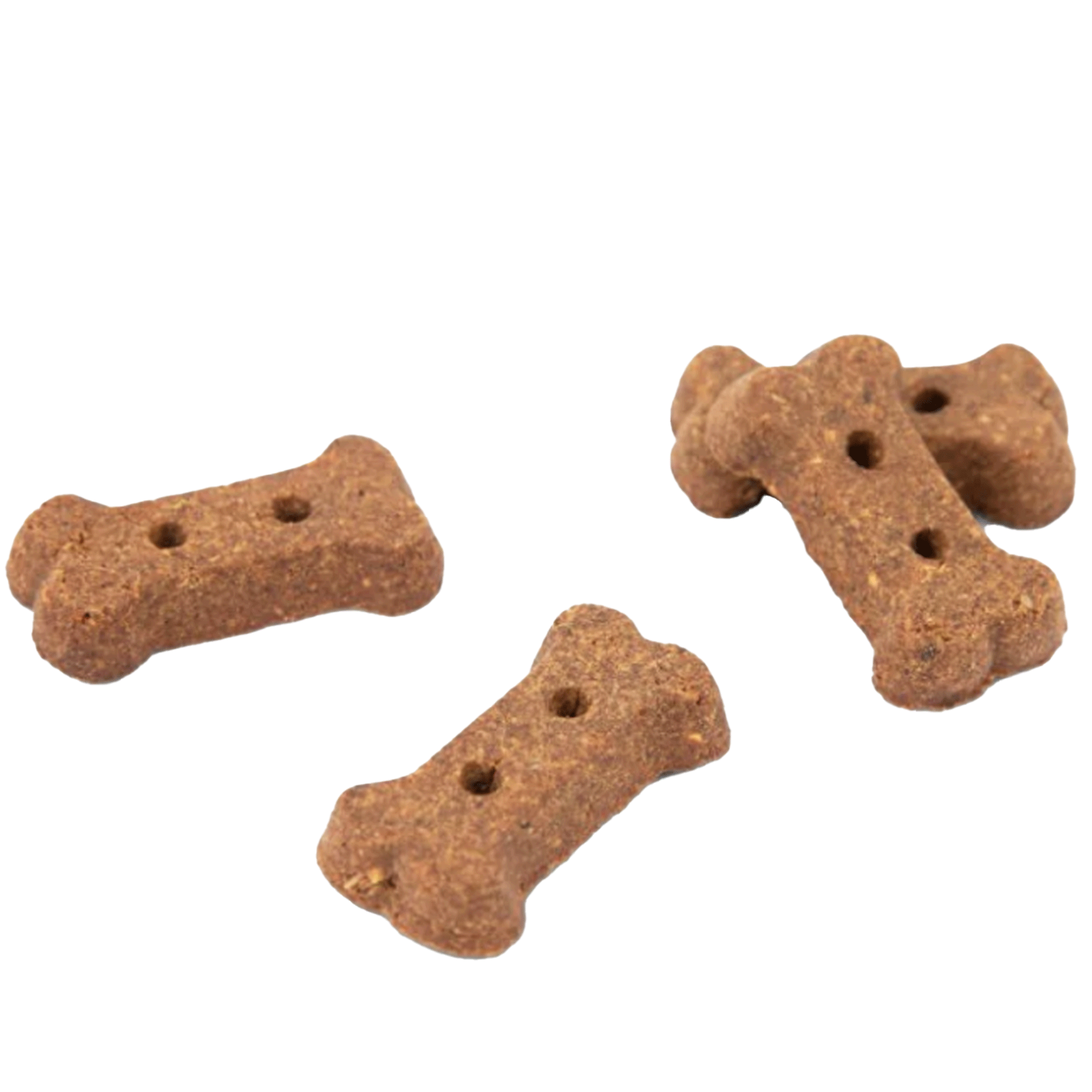Jiminy's Original Cricket Protein Dog Treats - High Protein, All-Natural, Grain-Free Dog Snacks for Training & Rewards - Perfect for Active Dogs & Outdoor Adventures