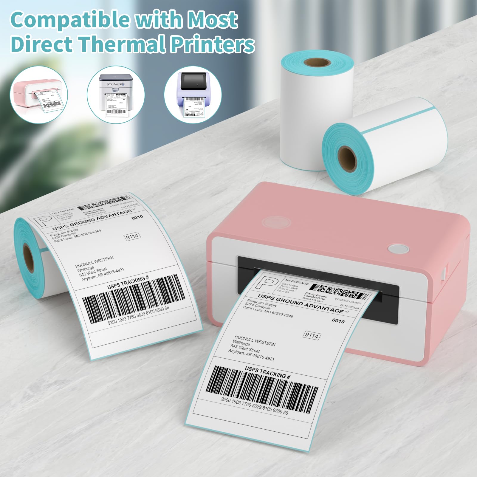 FungLam 2 Rolls 4x6 Direct Thermal Printer Labels - 500 Shipping Labels Compatible with Zebra & Rollo Label Printers | Perforated Postage Thermal Labels with Permanent Adhesive (250 Labels/Roll) - Ideal for E-commerce Shipping, Package Labeling & Logistics