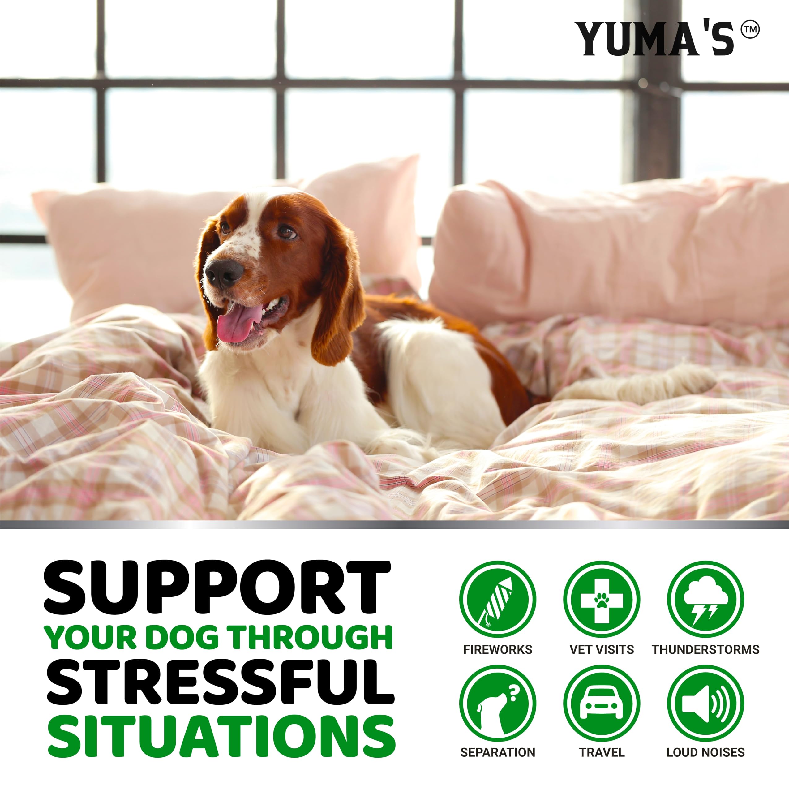 YUMA'S Hemp Calming Chews for Dogs - Natural Anxiety Relief Treats with Melatonin & Hemp Oil - 170 Count - Stress & Barking Control - Separation & Thunderstorm Aid - Made in USA - Perfect for Nervous Pets, Travel, Vet Visits & Fireworks