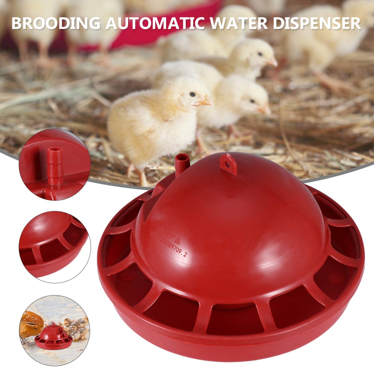 Balacoo 2-Pack Chicken Waterer Cups - Small Poultry Drinker Bowl for Chicks, Ducks & Birds - Perfect for Coops, Farms & Backyard Poultry Feeding