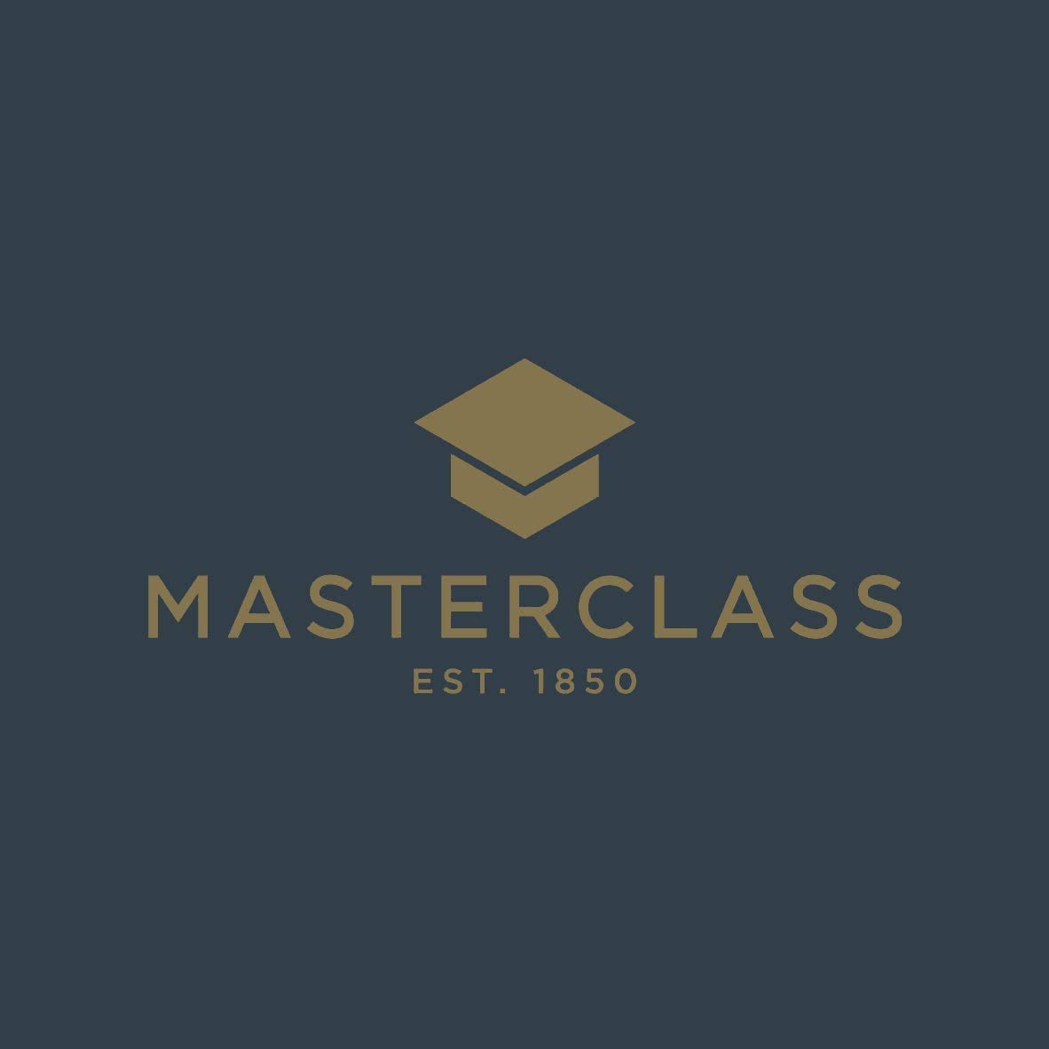 Premium MasterClass Carving Knife - 8