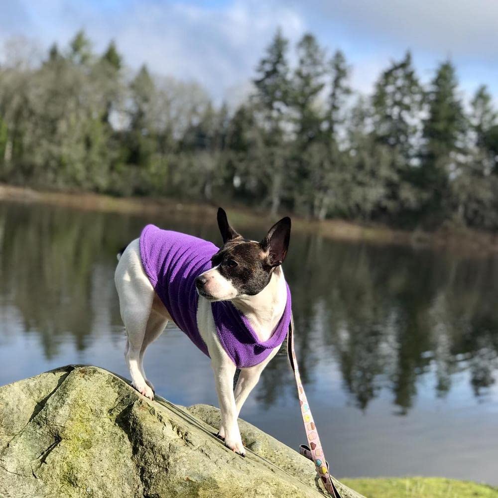 Gooby Fleece Vest Dog Sweater - Lavender, X-Small - Warm Pullover Fleece Dog Jacket with O-Ring Leash - Winter Small Dog Coat for Cold Weather - Cozy Puppy Clothes for Small Dogs (Boy or Girl) - Perfect for Outdoor Walks, Winter Adventures & Indoor Comfort