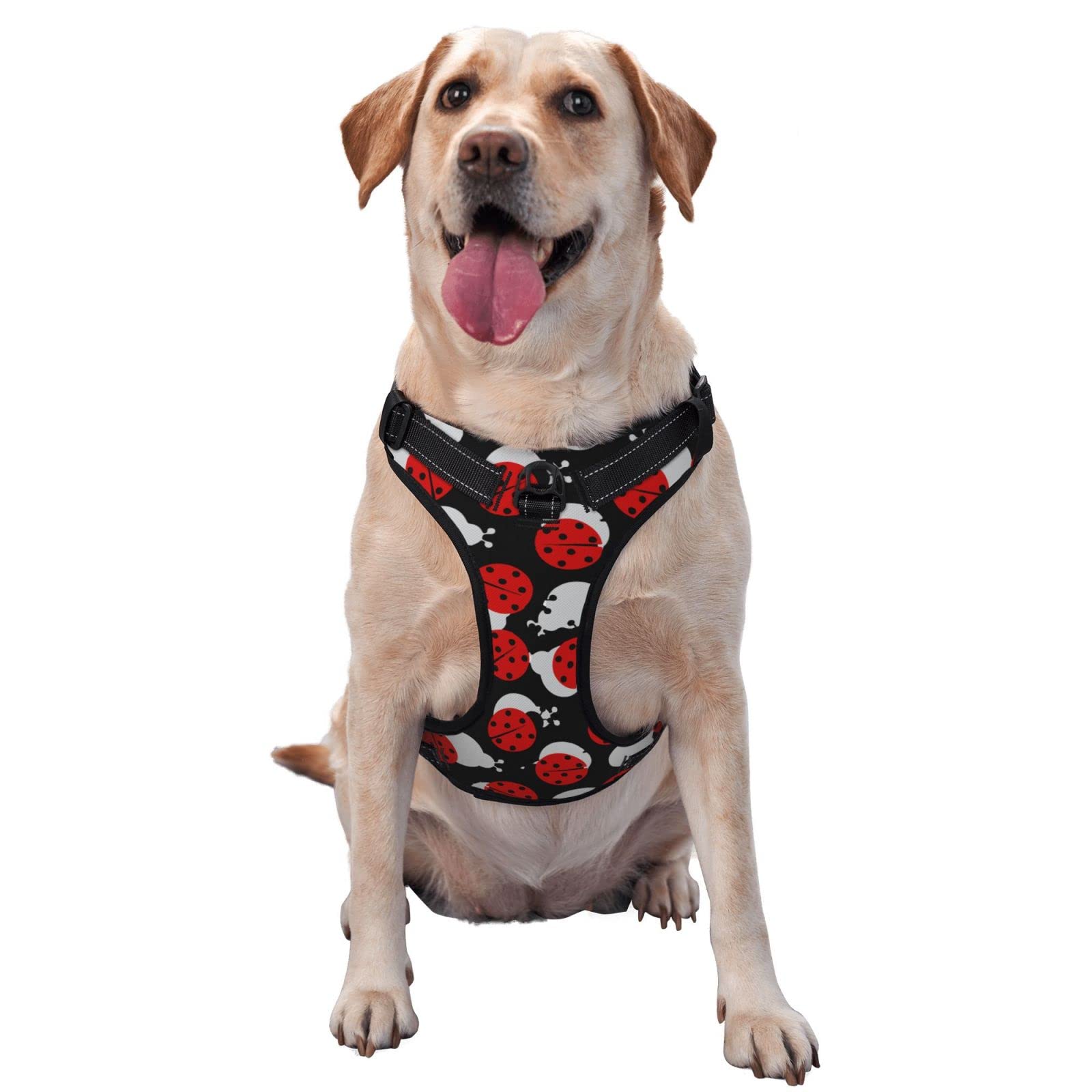 No Pull Dog Safety Harness with Leash Clip - Reflective Adjustable Pet Vest for Small Medium Large Dogs - Breathable Training Walking Harness for Puppies & Adult Dogs - Perfect for Outdoor Adventures, Night Walks & Pet Training