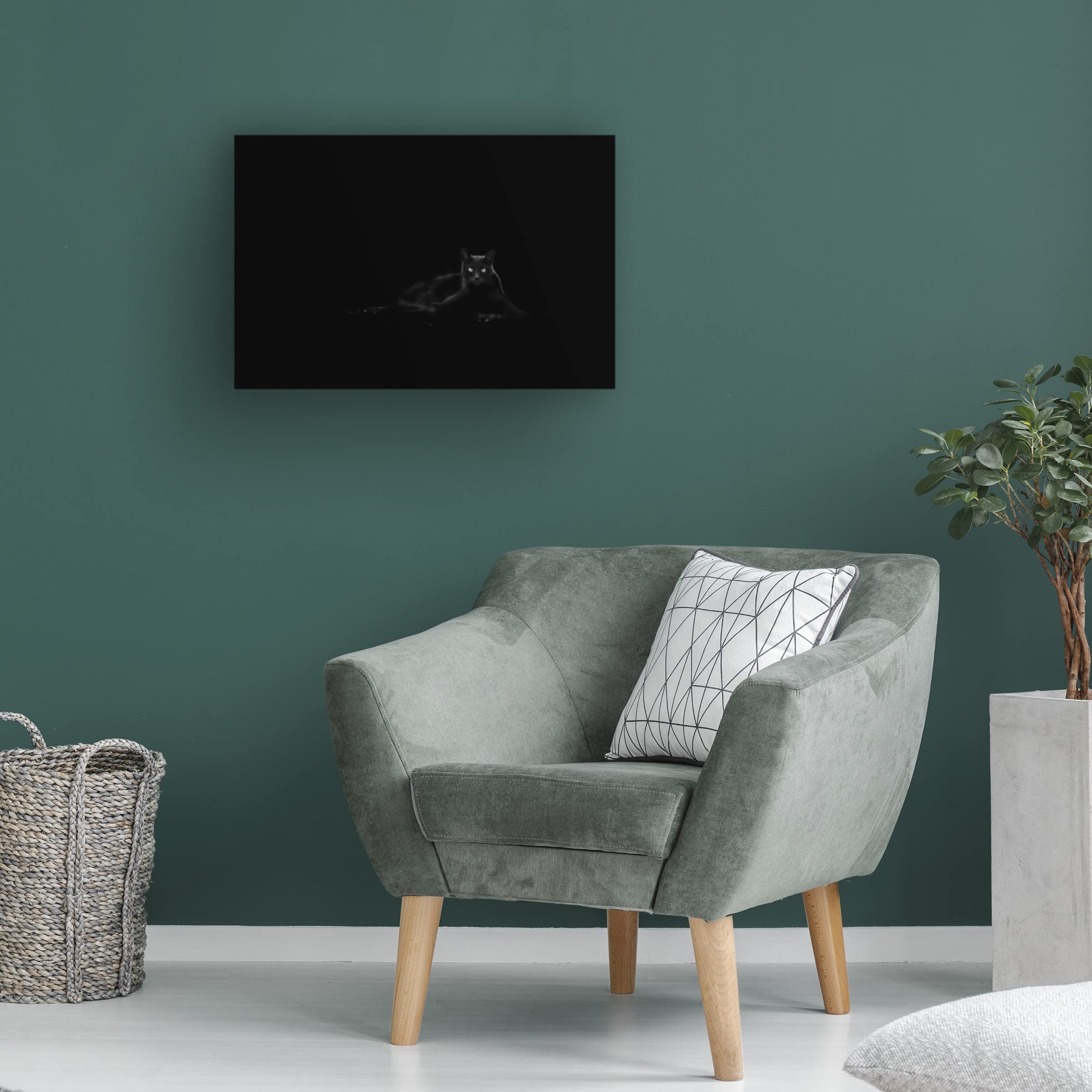 Dusan Ljubicic 'Cat' Canvas Art Print - Modern Wall Decor for Living Room, Bedroom & Office - Trademark Fine Art Collection