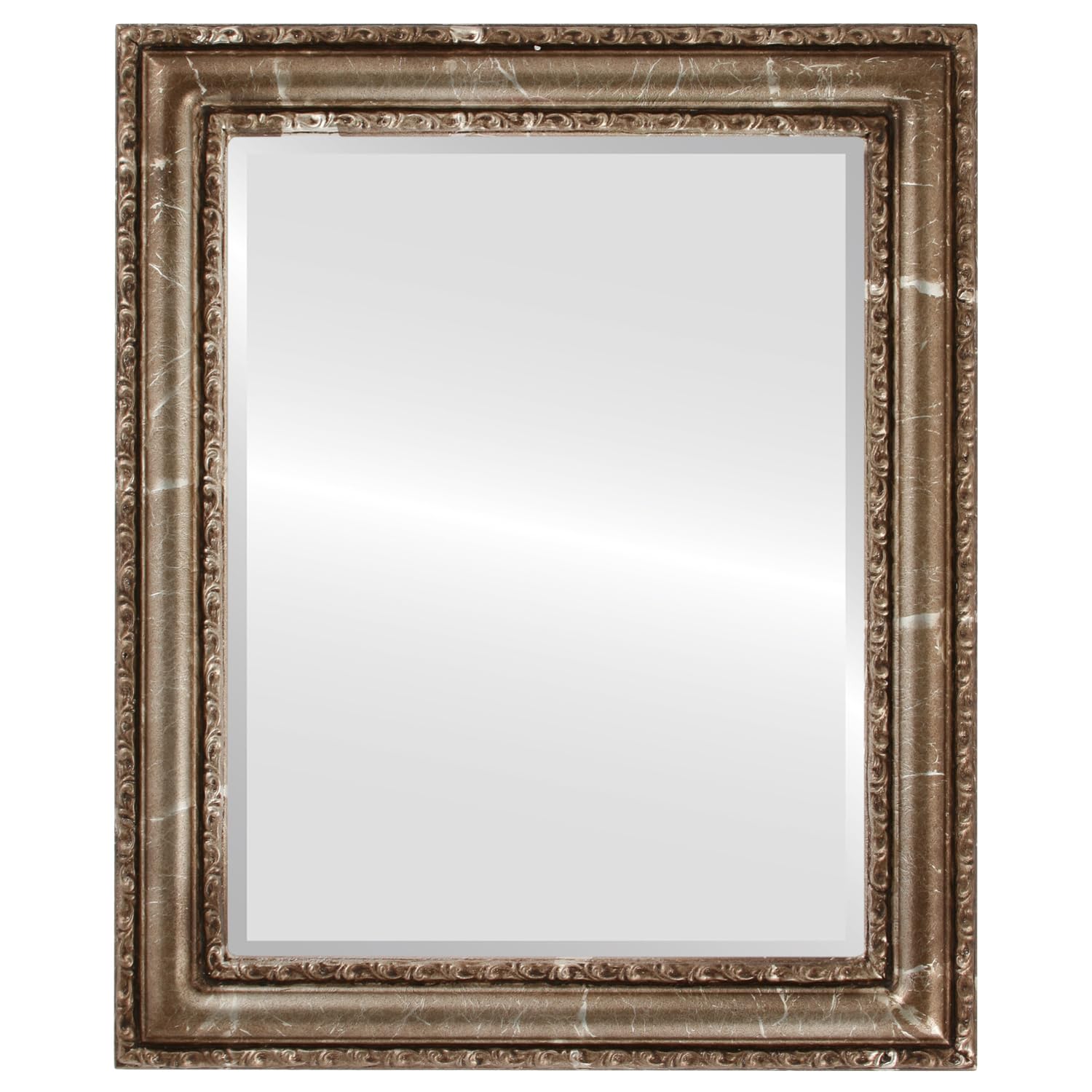 OVALCREST Rectangle Beveled Wall Mirror - Dorset Style Champagne Silver 22x28 Inches - Elegant Home Decor for Living Room, Bedroom & Entryway