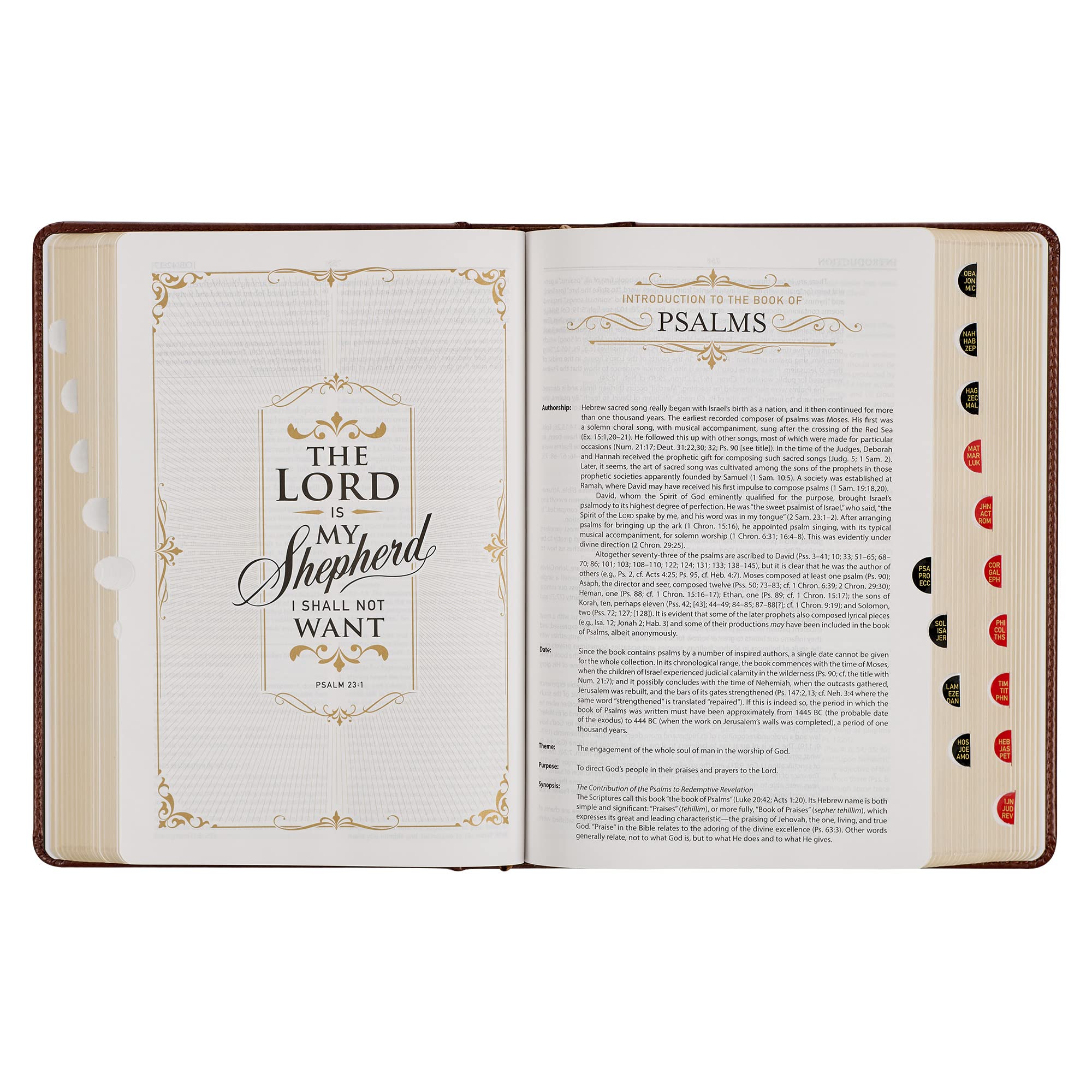 KJV Study Bible, Standard Print Faux Leather Hardcover with Thumb Index - King James Version Holy Bible in Toffee/Burgundy for Personal Devotion, Bible Study Groups & Church Services