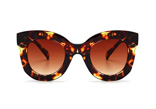 Tortoise Brown