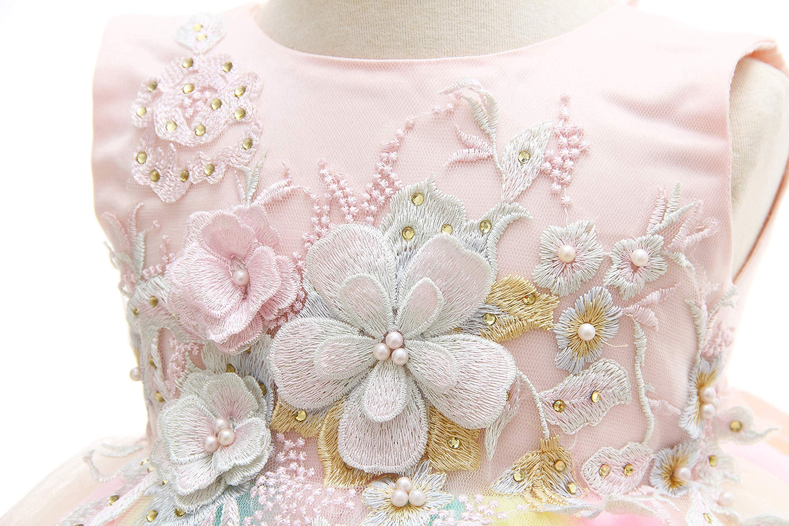 Weileenice Baby Girls Wedding Dress - Rainbow Tulle 3D Embroidery Beading Princess Tutu Dress for Flower Girls, Christening, Birthday Party & Special Occasions