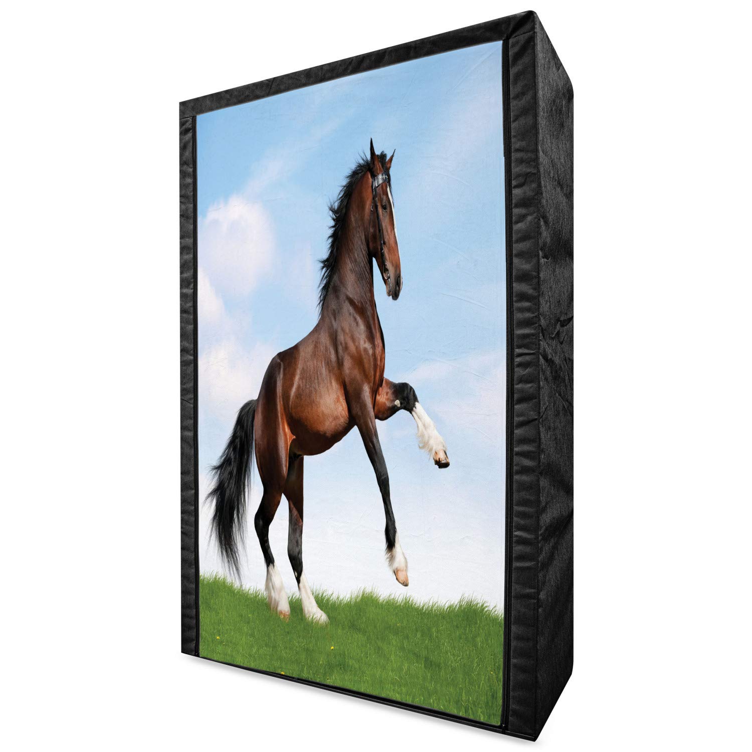 Ambesonne Portable Fabric Wardrobe with Shelves - 42.5