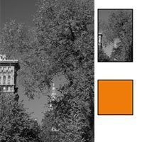 Hoya 49mm Orange G Filter for DSLR & Mirrorless Cameras - Enhance Warm Tones & Sunset Photography | Perfect for Landscape, Portrait & Creative Photography