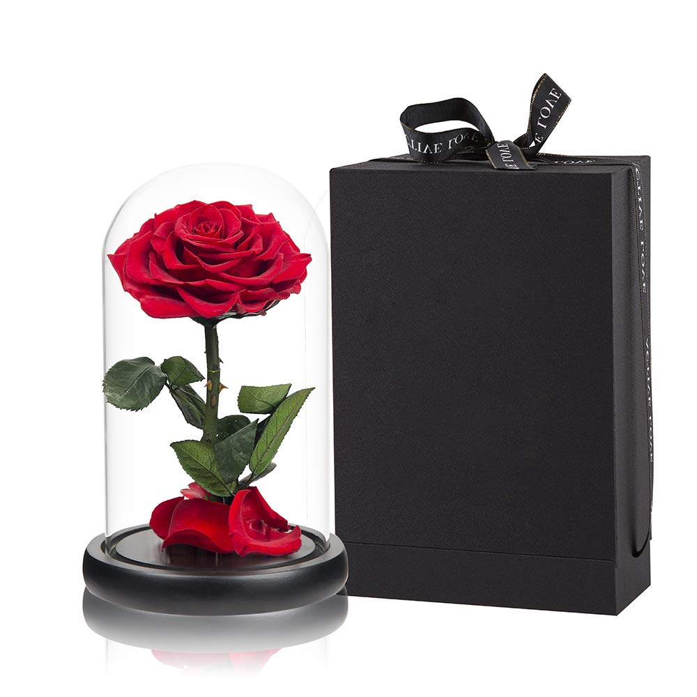 Handmade Real Preserved Red Roses in Glass Dome - Never Withering Romantic Gift for Her, Mother's Day, Birthday, Anniversary | Perfect for Home Decor, Wedding Centerpieces, and Special Occasion Gifts