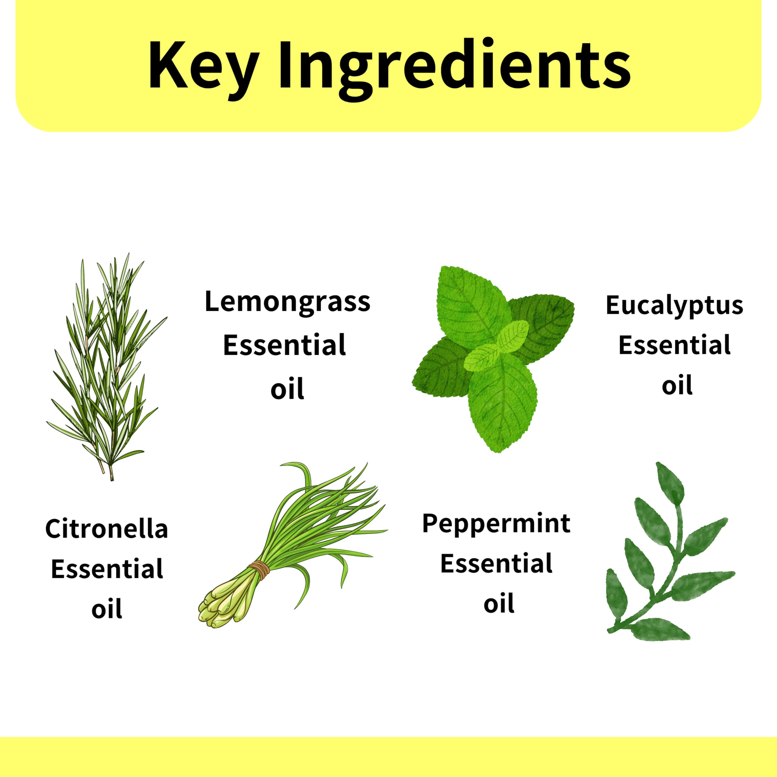 Natural Peppermint & Citronella Lizard Repellent Spray - 250ml | Safe & Effective Pest Control for Home | Non-Toxic, Allergy-Free Formula for Kids & Adults | Indoor & Outdoor Use for Patios, Garages & Gardens