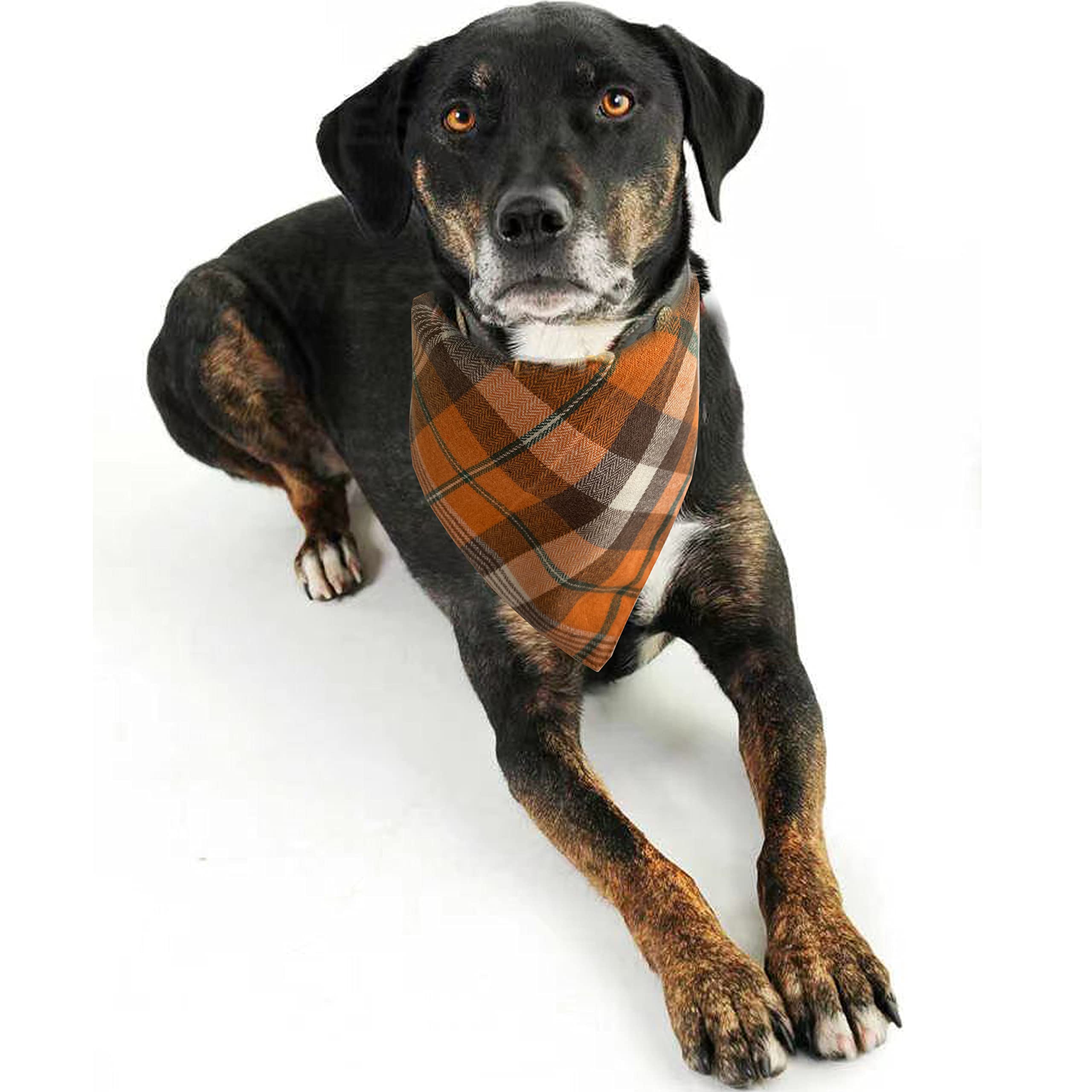 Realeaf Thanksgiving Fall Dog Bandanas 2 Pack - Orange Plaid Pet Scarf for Small & Medium Dogs | Premium Durable Fabric Holiday Bandanas for Boy & Girl Puppies | Perfect for Halloween, Thanksgiving & Autumn Photo Shoots