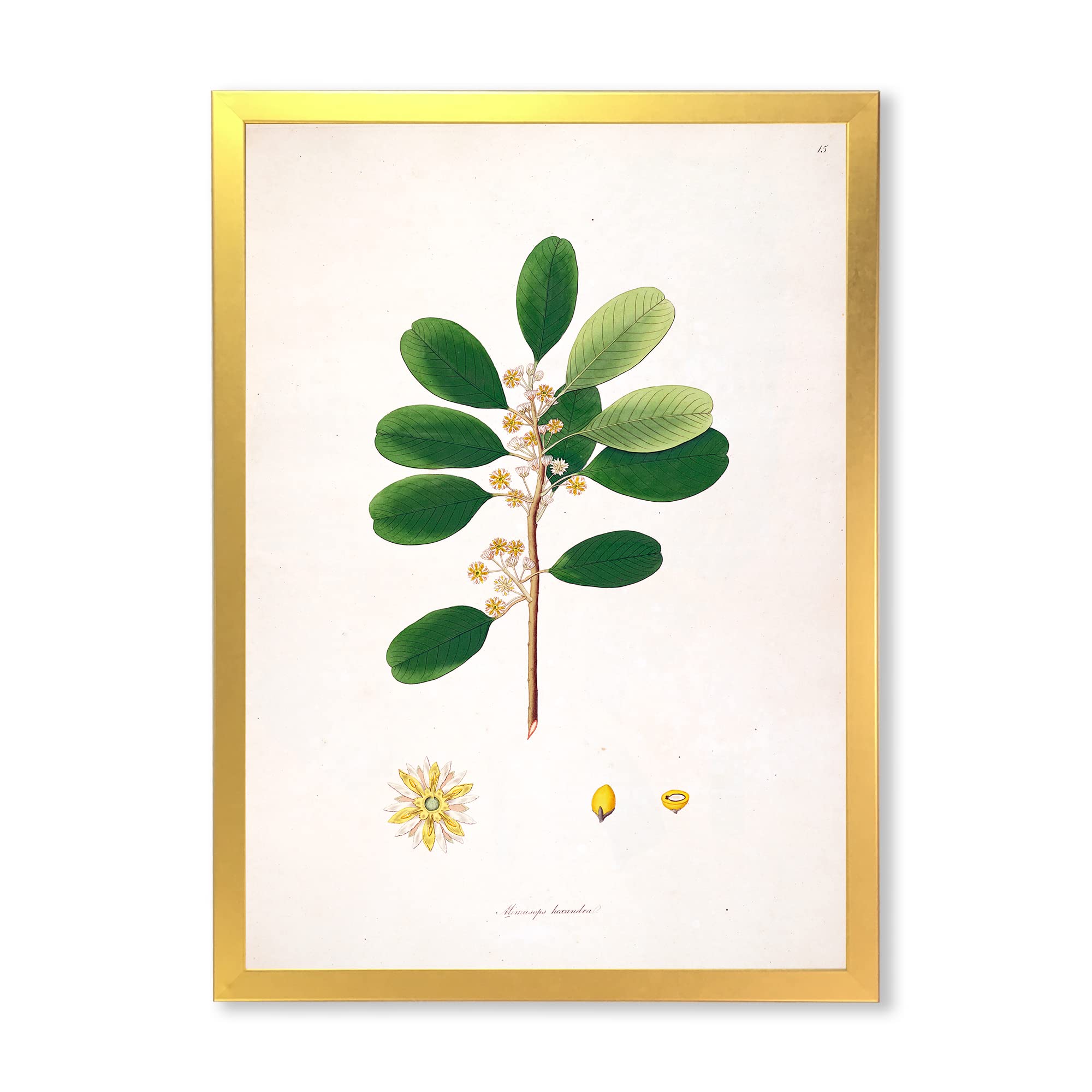 Vintage London Plants IX Farmhouse Framed Wall Art - Botanical Print Decor for Living Room, Bedroom & Office - Perfect Home Decor Gift Idea