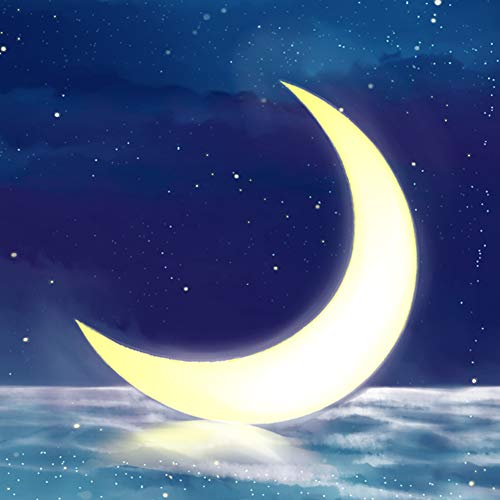 scenery - starry