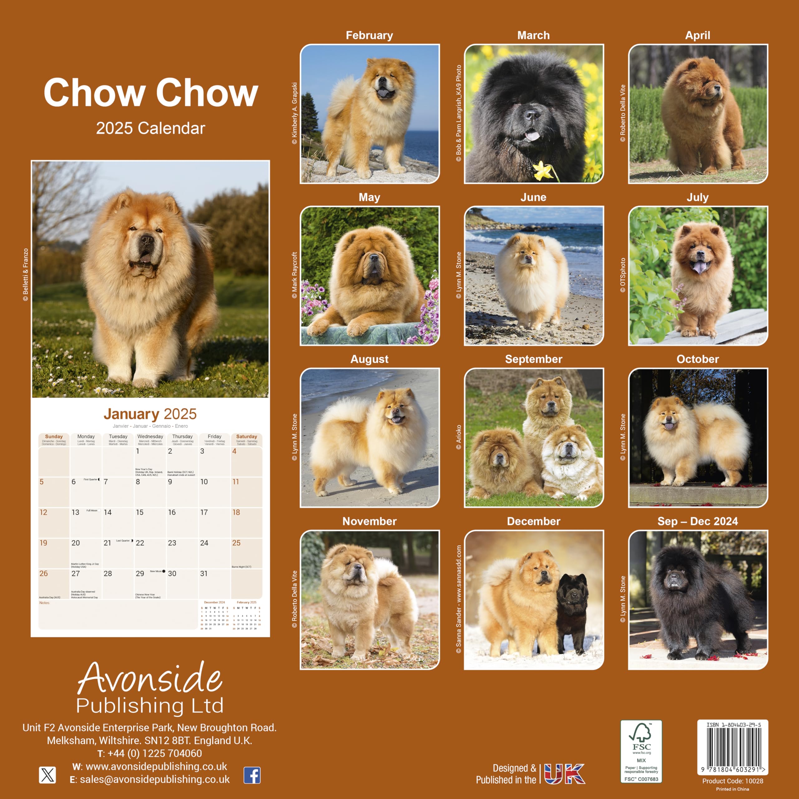 2025 Chow Chow Dog Breed Wall Calendar - 16 Month Square Planner for Home & Office Decor | Perfect Gift for Dog Lovers & Pet Owners