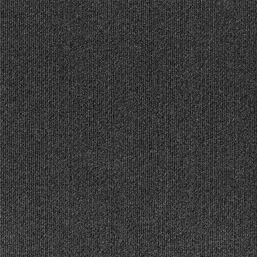 Black Ice