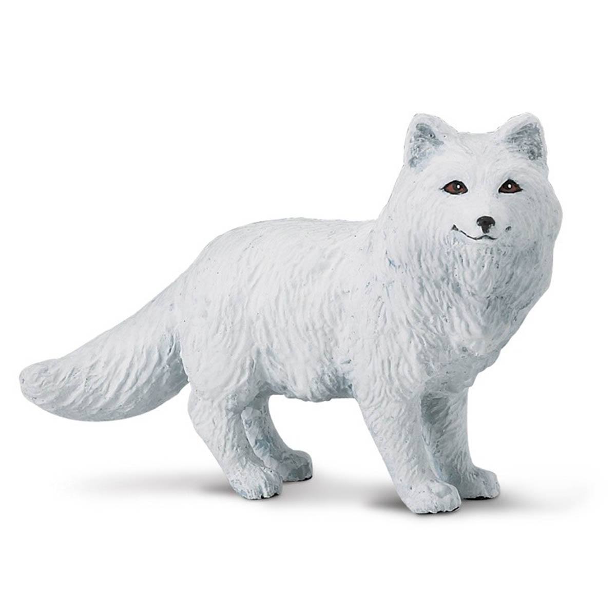Arctic Fox Wild Safari Figure by Safari Ltd - Realistic Animal Toy for Kids, Educational Wildlife Collectible - Perfect for Playtime, Nature Exploration & STEM Learning