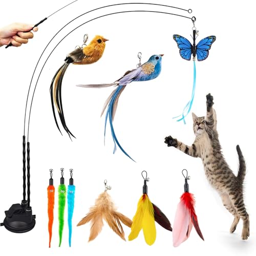 12 Pcs