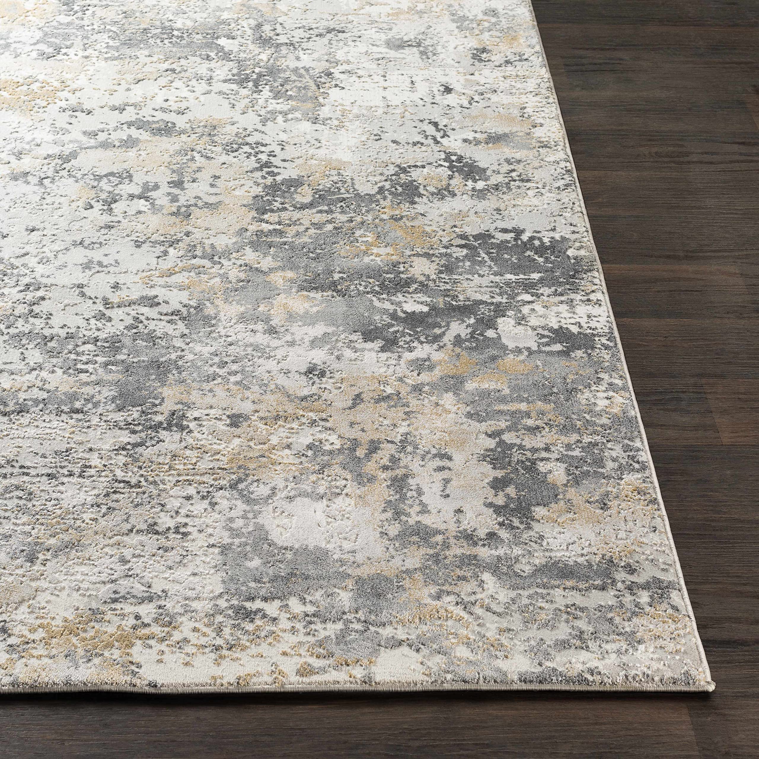Hauteloom Lenzburg Modern Gray Area Rug 5'3