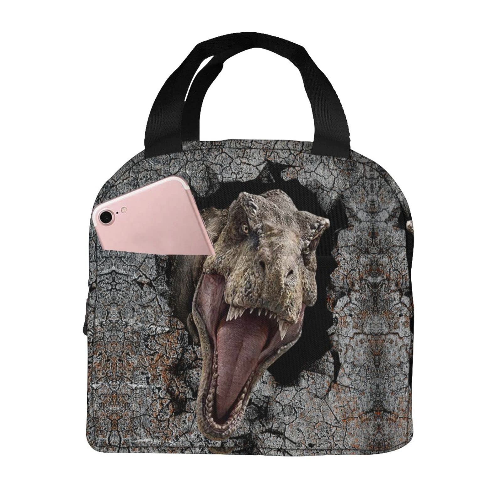 Dinosaur Lunch Bag Reusable Insulated Lunch Box for Women, Men, Girls & Boys - Large Capacity Meal Tote with Detachable Handle - Perfect for School, Work, Picnics & Outdoor Activities