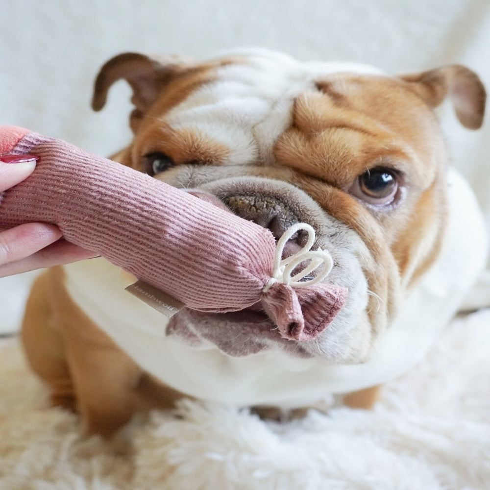 Durable Olive & Salami Dog Chew Toy for Aggressive Chewers - Interactive Play & Dental Health for Small & Large Dogs - Perfect for Indoor & Outdoor Fun