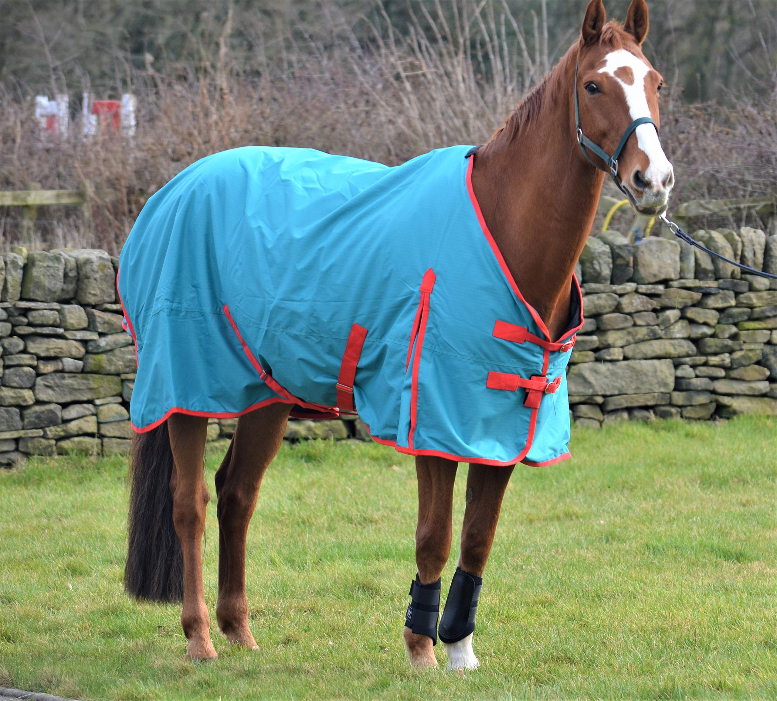 Lightweight 100g Fill Waterproof Turnout Rug for Horses & Shetland Ponies - Perfect for Outdoor Riding, Stable Use & All-Weather Protection