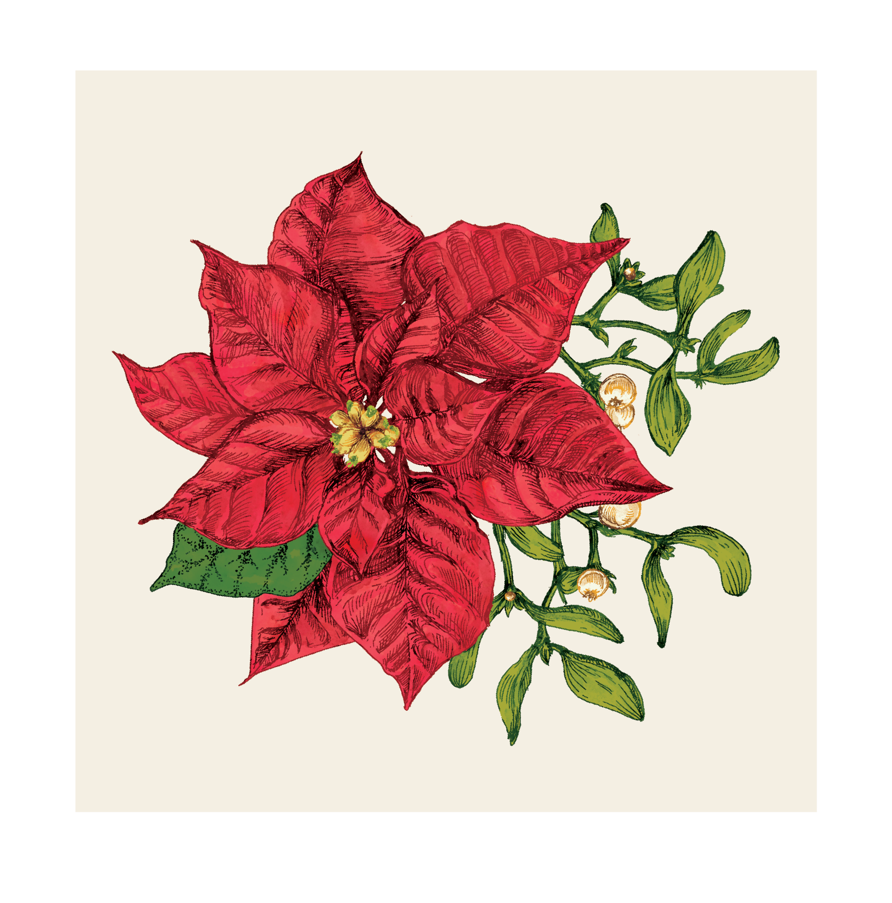 Hester & Cook Poinsettia Cocktail Napkins - Pack of 20 | Premium Holiday Party Napkins for Christmas Celebrations, Dinner Parties & Festive Gatherings