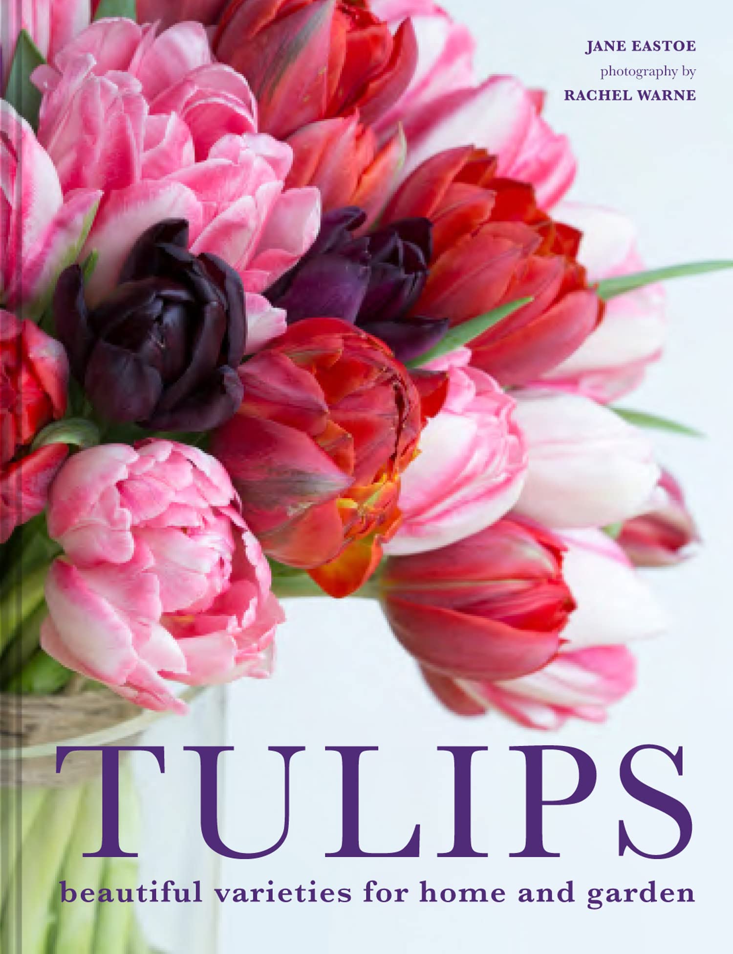Stunning Tulip Bulbs for Sale - Premium Flower Varieties for Home & Garden Decor | Perfect for Landscaping, Bouquets & Spring Planting