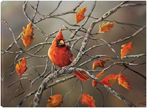 Fall Cardinal