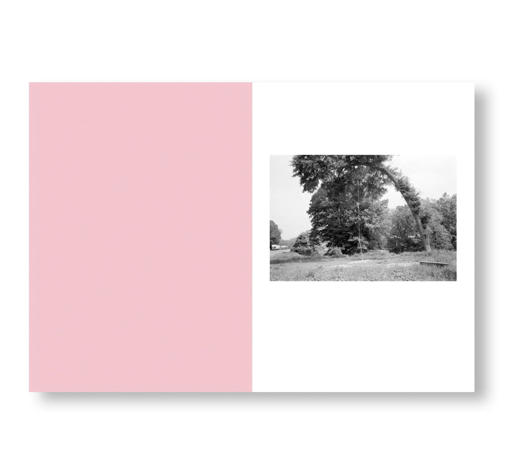 Bent Tree by Mark Steinmetz - Special Edition Picture Book #32 | Collectible Art Photography Book for Home Decor & Gift Giving