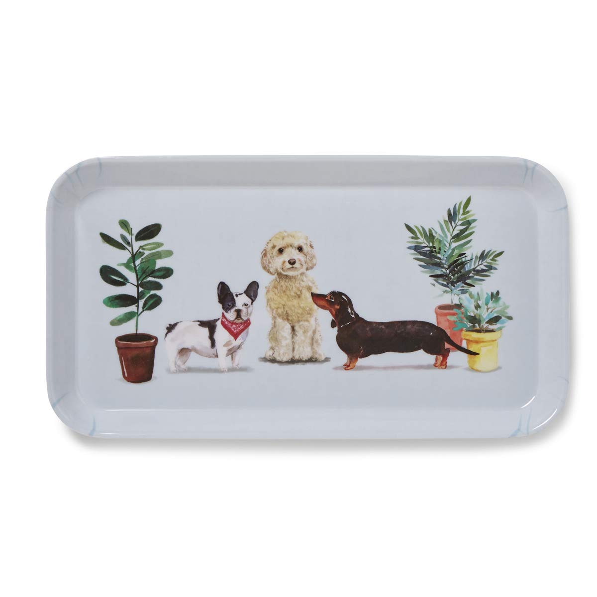 Curious Dogs Small Tray - Perfect for Pet Feeding & Snacks