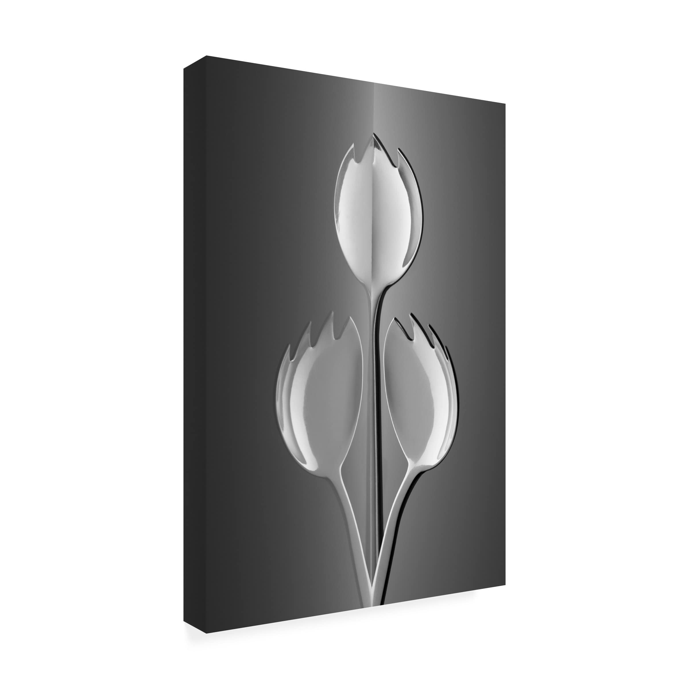 Trademark Fine Art 'Tulips From Holland' Canvas Art Print by Wieteke De Kogel - Floral Wall Decor for Living Room, Bedroom & Office