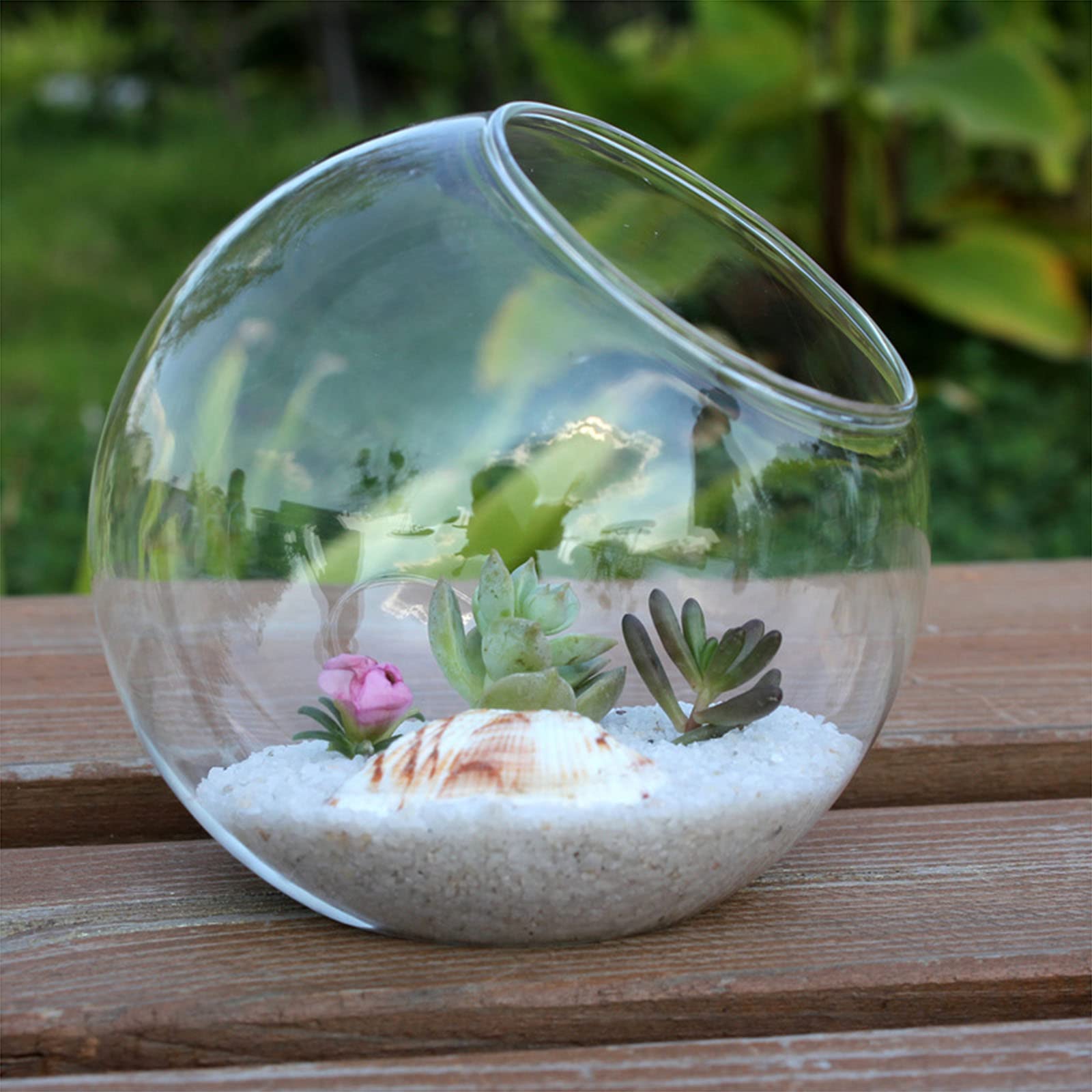 10cm Angled Glass Fish Tank - Transparent Round Micro Landscape Bottle for Succulents, Hydroponic Plants & Flowers | Perfect for Home Decor, Office Desk & Mini Aquariums