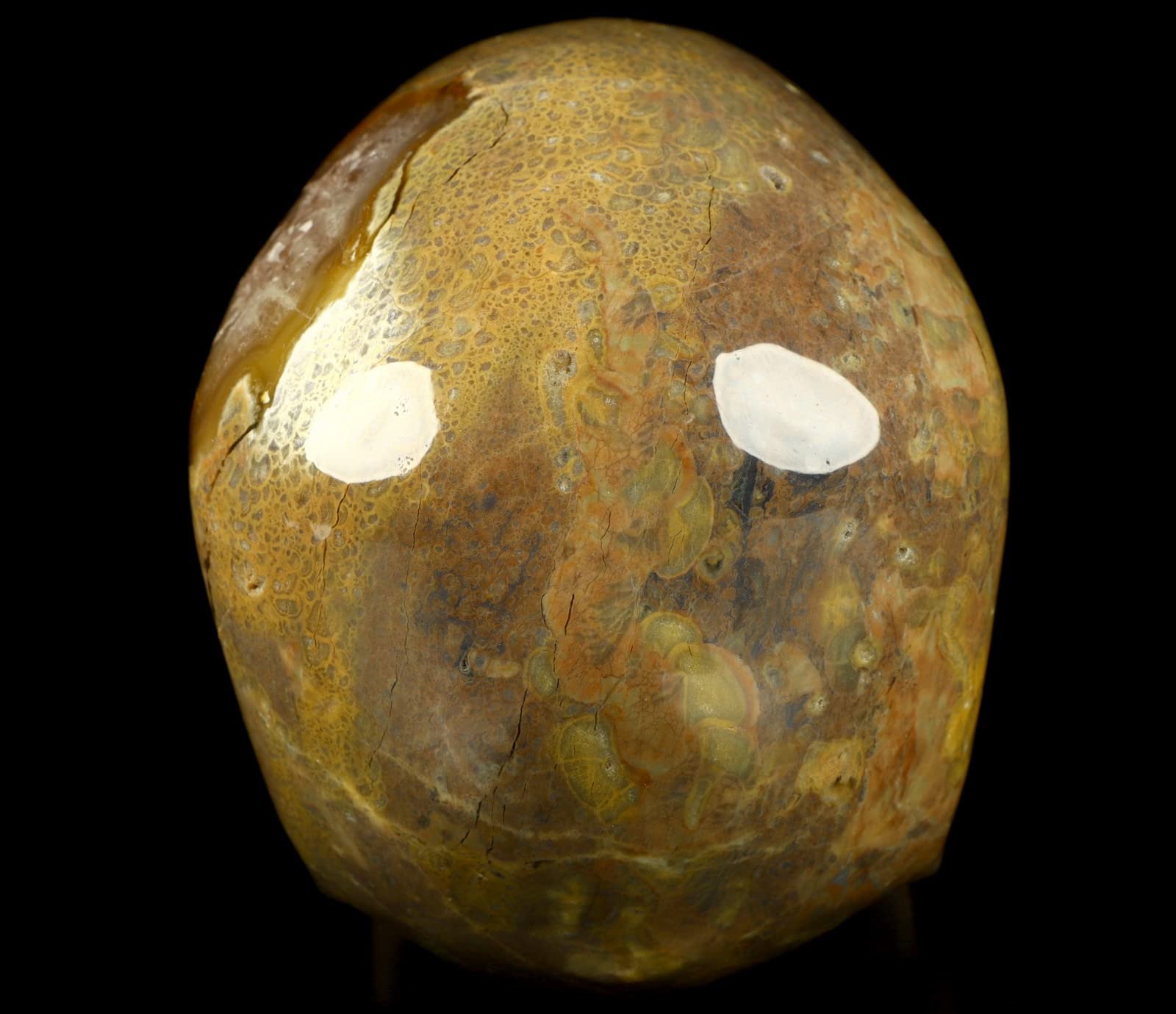 5.0” Hand-Carved Dinosaur Egg Agate Crystal Skull - Realistic Gemstone Sculpture for Meditation, Reiki Healing & Home Decor | Natural Healing Stone Artwork for Spiritual Practice & Office Display