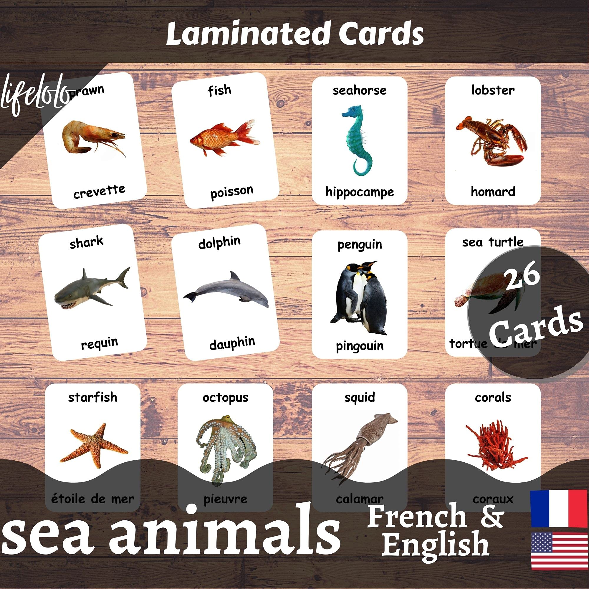 26 Laminated Sea Animals Flash Cards - Ocean & Water Animal Educational Learning Cards for Homeschool, Preschool & Bilingual Teaching (English/French) - Perfect for Classroom Activities & Language Development