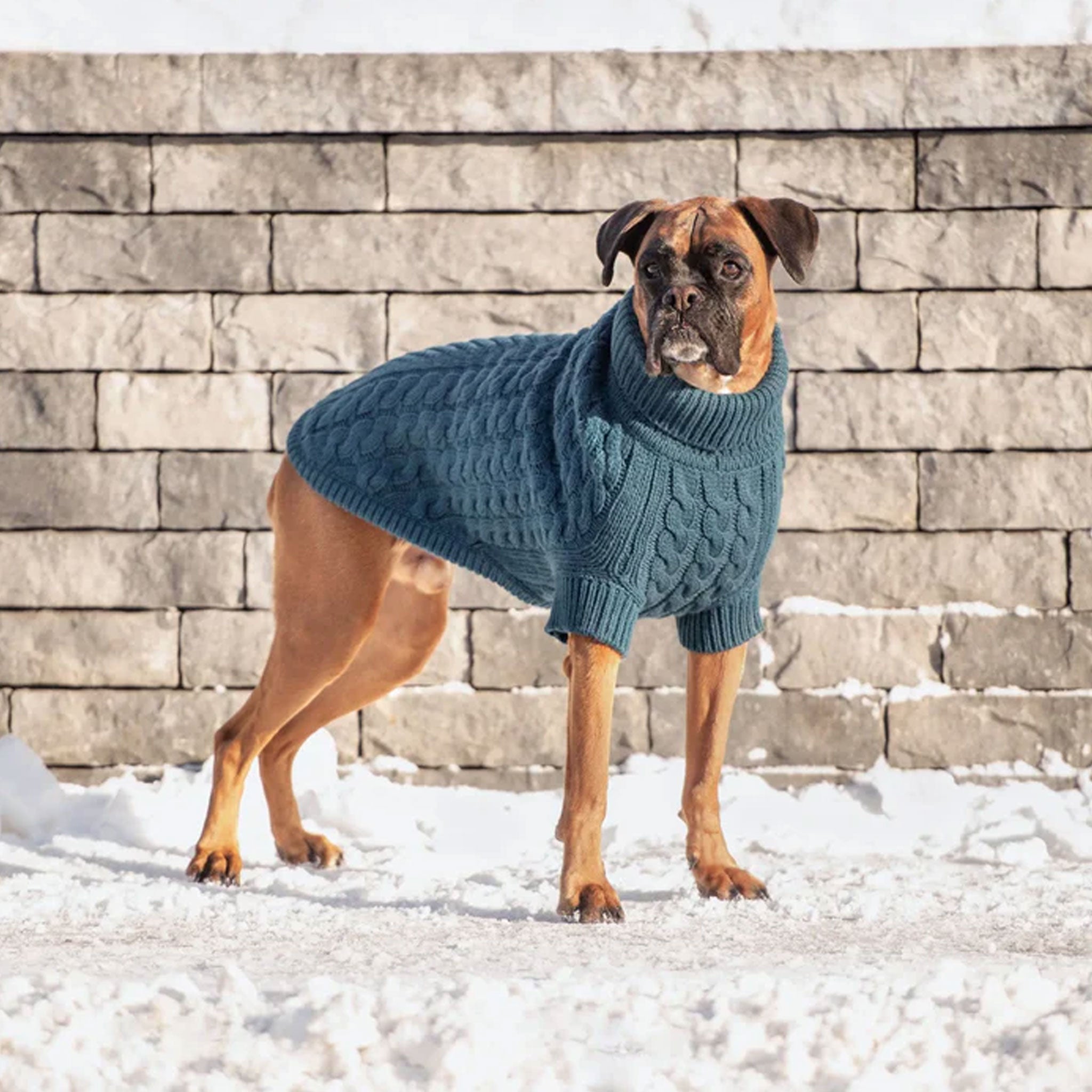 GF Pet Chalet Sweater for Dogs - Cozy Dark Teal Knitted Dog Sweater - Perfect for Winter Walks & Indoor Comfort