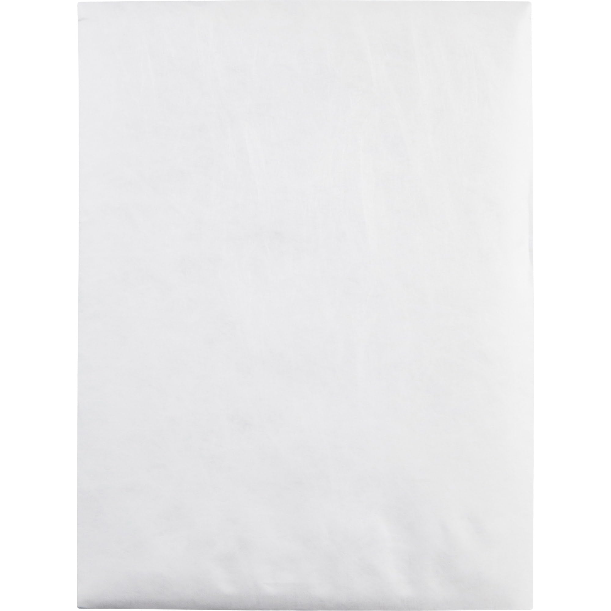 Survivor® Tyvek® Tamper-Evident Security Envelopes 9