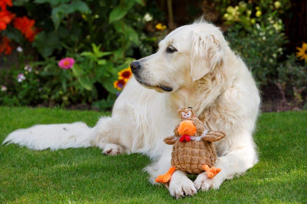 Farmyard Buddies Durable Chunky Chicken Dog Toy - Interactive Chew Toy for Small & Medium Dogs, Perfect for Playtime & Training