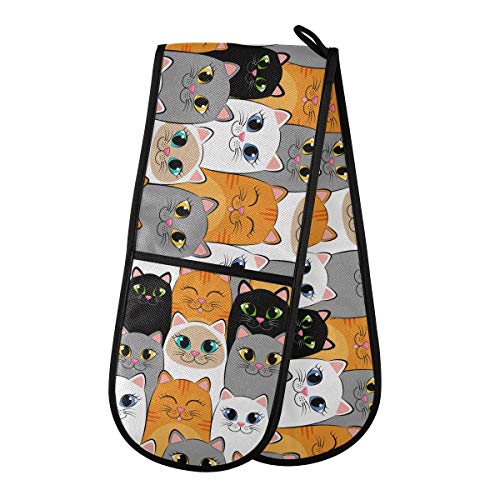 Multicolor-brown Cat