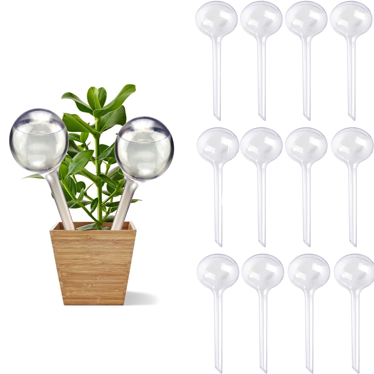 12Pcs Large Automatic Self-Watering Globes - Plastic Plant Watering Bulbs for Indoor/Outdoor Plants, Garden Irrigation Device (Clear) | Perfect for Vacation Plant Care, Hanging Baskets & Potted Flowers