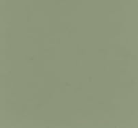 Green Giraffe