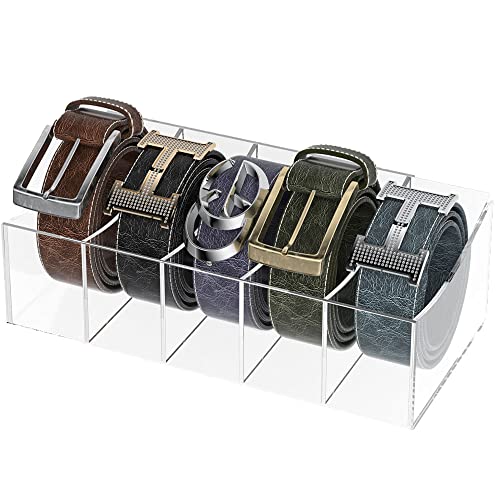 5 Compartments