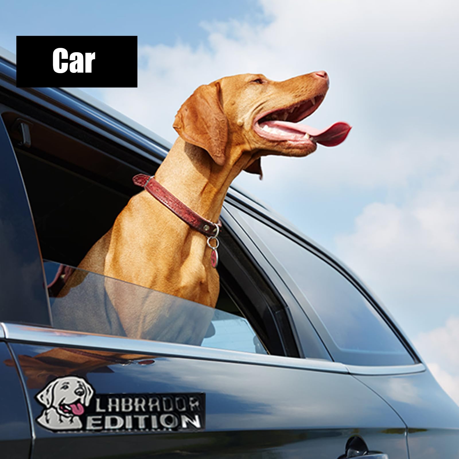 3D Laser Cut Dog Car Emblem - Great Dane Vehicle Badge for Cars, Trucks, RVs & Boats | Funny Animal Decorative Sticker for Automotive Exterior | Unique Pet Lover Gift Idea (Perfect for Dog Owners & Car Enthusiasts)