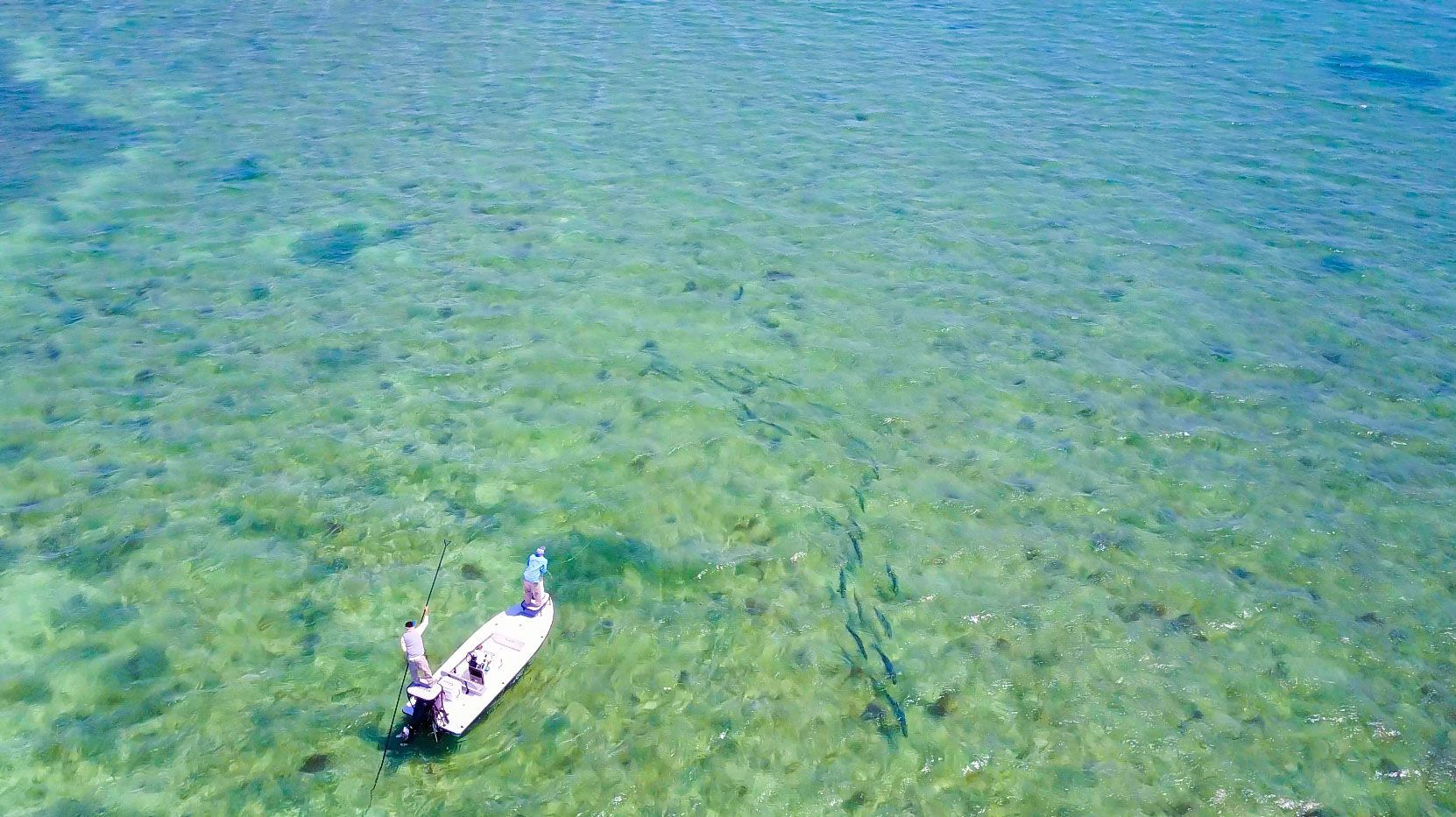 Tarpon Fishing Gear & Accessories - Saltwater Fishing Rods, Reels, Lures for Tarpon - Perfect for Inshore & Offshore Fishing Trips